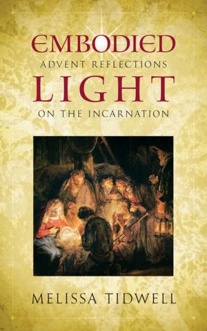 Cover of the book Embodied Light by W. Paul Jones