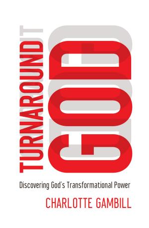 Cover of the book Turnaround God by Robert Liparulo