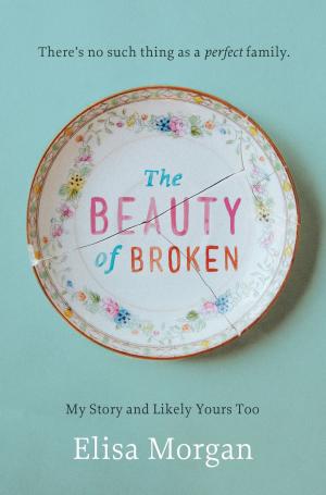 Cover of the book The Beauty of Broken by George Barna