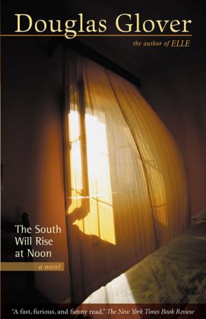 Cover of the book The South Will Rise at Noon by Douglas Glover
