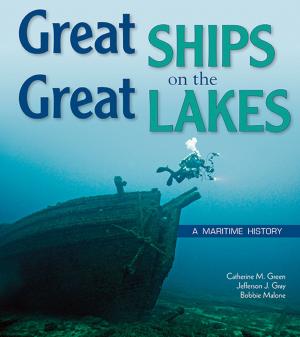 Book cover of Great Ships on the Great Lakes