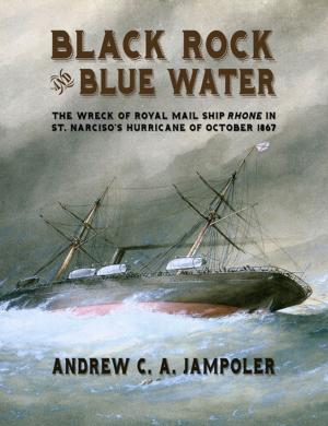 Cover of the book Black Rock and Blue Water by Andrew Gordon