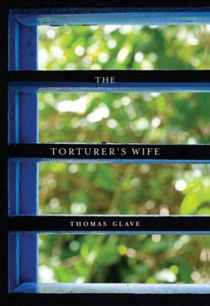 Cover of the book The Torturer's Wife by Howard Zinn