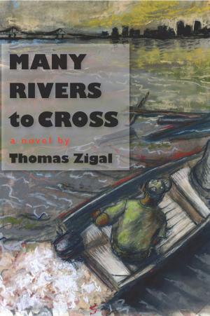 Cover of the book Many Rivers to Cross by Dan Jenkins