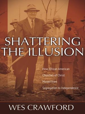 Cover of Shattering the Illusion