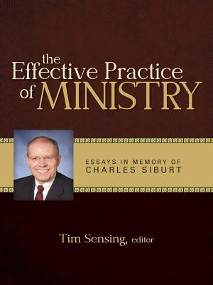 Cover of the book The Effective Practice of Ministry by David Lyons