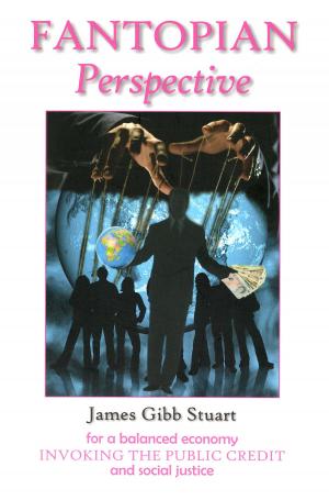 Book cover of Fantopian Perspective