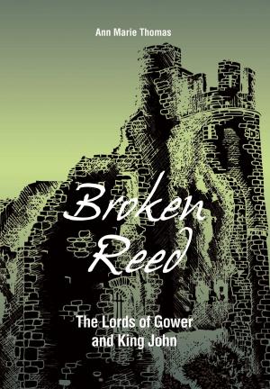 Book cover of Broken Reed: The Lords of Gower and King John