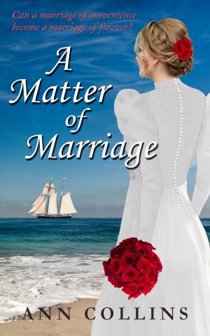 Cover of the book A Matter of Marriage by Michael Coorlim
