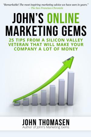 Book cover of John's Online Marketing Gems: 25 Tips from a Silicon Valley Veteran that will Make Your Company a lot of Money