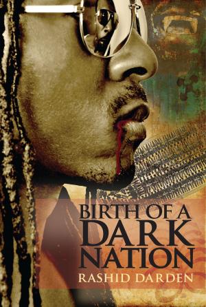 Cover of the book Birth of a Dark Nation by Klaus Seibel