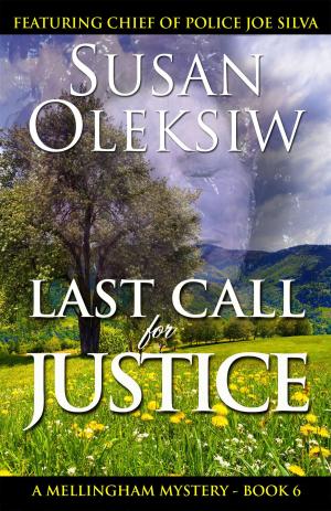 Cover of the book Last Call for Justice by AC Cooper