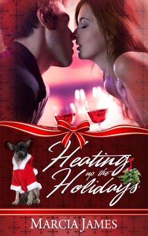 Cover of the book Heating Up the Holidays by Rene Folsom, Red Hot and BOOM!