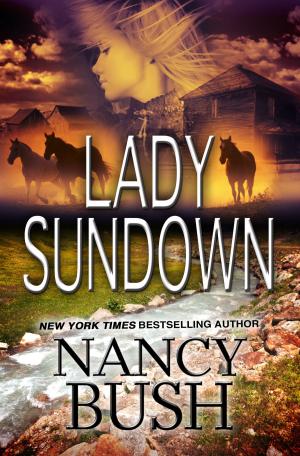 Book cover of LADY SUNDOWN (Danner Series #1)