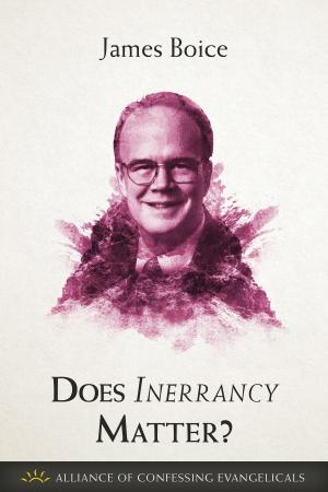 Book cover of Does Inerrancy Matter?