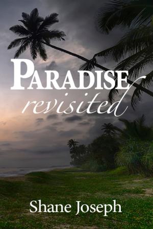 Cover of the book Paradise Revisited by Brian Mullally