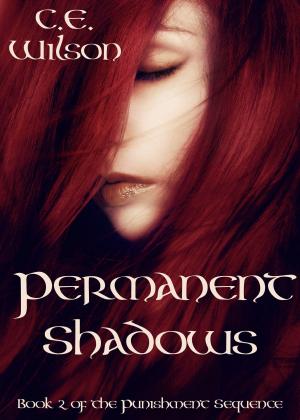 Cover of the book Permanent Shadows by CC Hogan