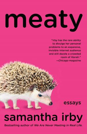 Cover of the book Meaty by David Wheeler
