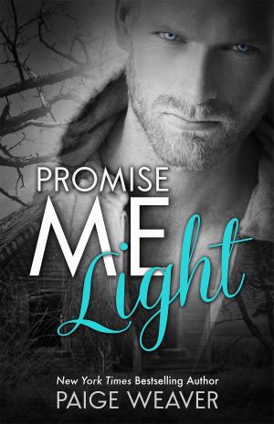 Cover of the book Promise Me Light by Karina Halle