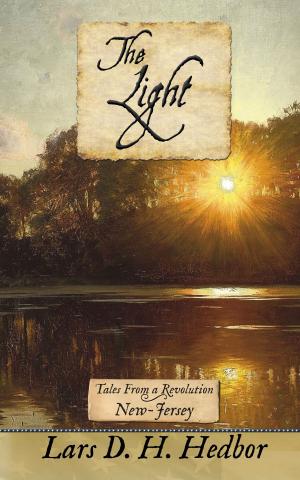 Cover of the book The Light by Lars D. H. Hedbor
