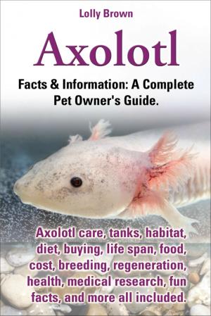 Cover of the book Axolotl by Lolly Brown