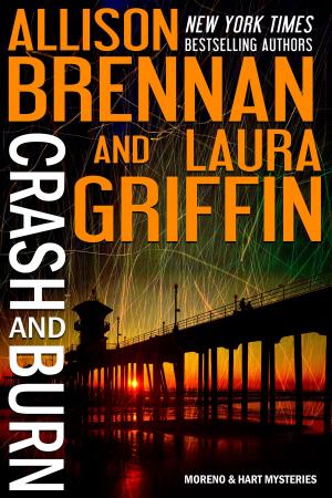 Cover of the book Crash and Burn by John Angus
