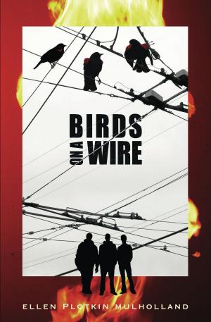 Book cover of Birds on a Wire