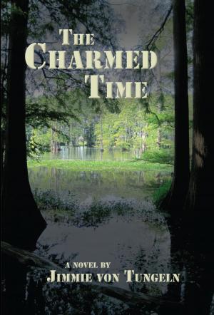 Book cover of The Charmed Time