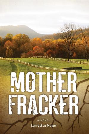 Book cover of Mother Fracker: A novel