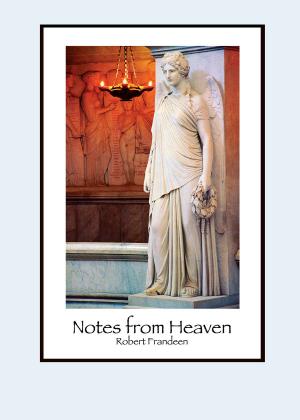 Cover of the book Notes from Heaven by Doug Martin