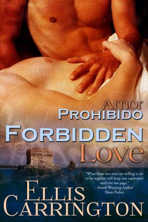 Cover of the book Forbidden Love by Hero Song