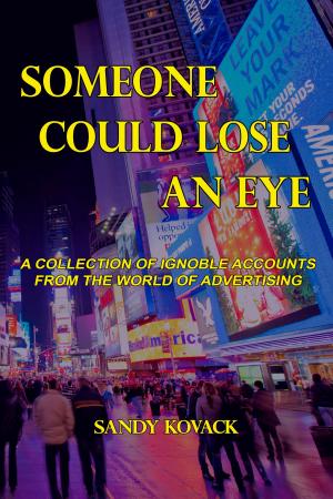 Cover of the book Someone Could Lose an Eye by Sand Wayne