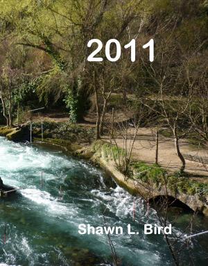 Cover of the book 2011 by Damian Firth