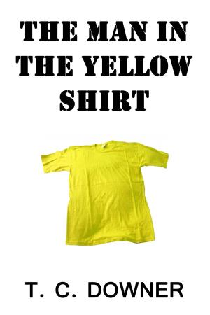 Book cover of The Man in the Yellow Shirt