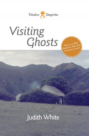 Book cover of Visiting Ghosts
