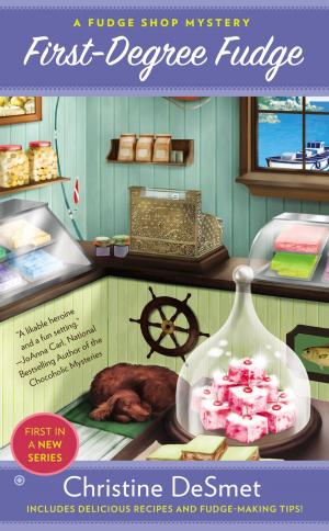 Cover of the book First-Degree Fudge by Karen Lowe
