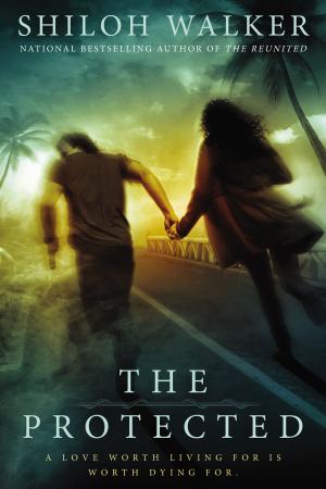 Cover of the book The Protected by Juan Gabriel Vasquez
