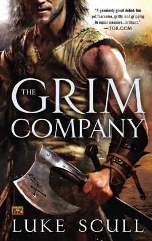 Book cover of The Grim Company