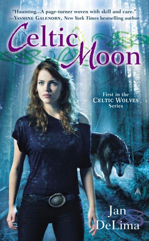 Cover of the book Celtic Moon by David Goeb