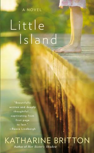 Cover of the book Little Island by Fabienne Jacob