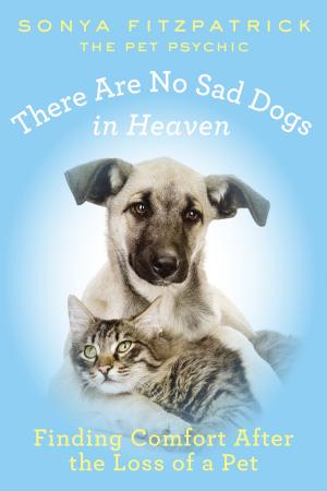 Cover of the book There Are No Sad Dogs in Heaven by Joyce and Jim Lavene