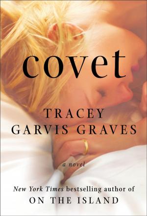 Cover of the book Covet by Mary Martinez