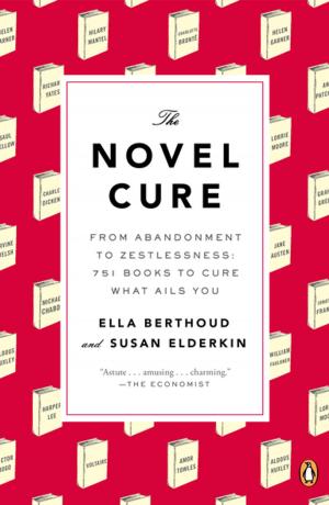 Book cover of The Novel Cure