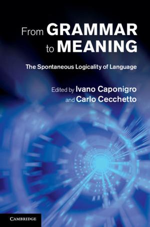 Cover of the book From Grammar to Meaning by Edna Longley