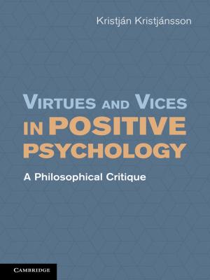 bigCover of the book Virtues and Vices in Positive Psychology by 