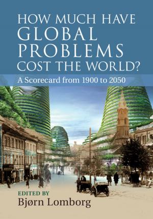 Cover of the book How Much have Global Problems Cost the World? by Roger T. Hanlon, John B. Messenger