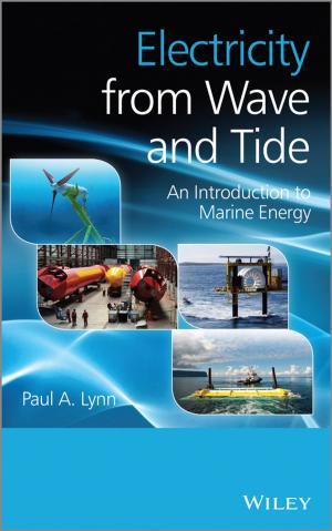 Cover of the book Electricity from Wave and Tide by Agustin Silvani