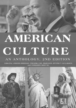 Cover of the book American Culture by Christian Schubert, Georg Von Wangenheim