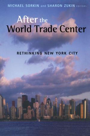Cover of the book After the World Trade Center by Michael Dillon