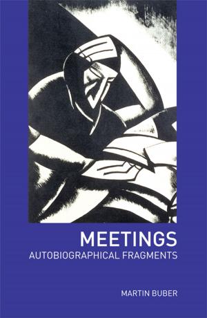 Cover of the book Meetings by Wout Troost